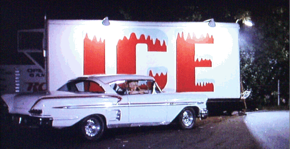 Debbie Waits For Toad